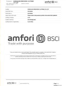  Amfori BSCI 
