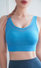 Adapt Seamless Sports bra-92515